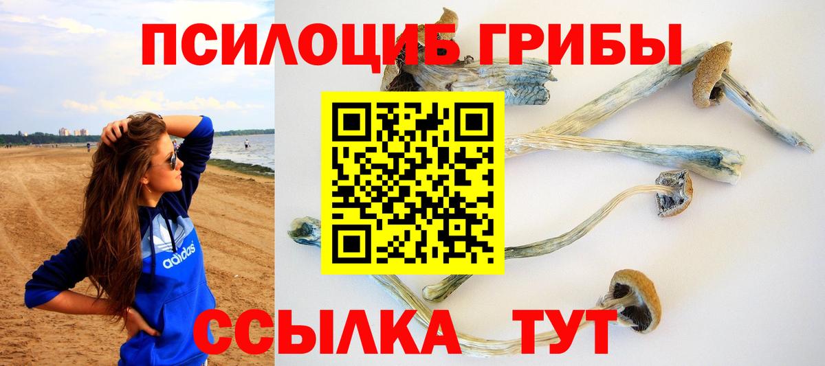 Псилоцибиновые грибы MAGIC MUSHROOMS Кольчугино
